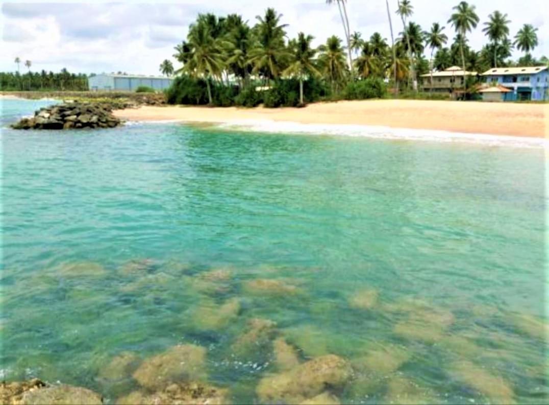 Sea Shell Villa Hikkaduwa 2 Separate Cabanas Ocean Front Villa ภายนอก รูปภาพ